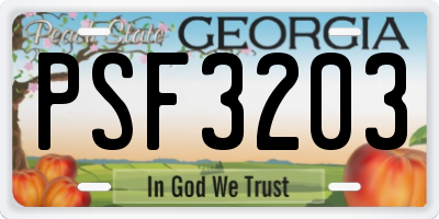 GA license plate PSF3203