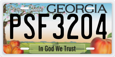 GA license plate PSF3204
