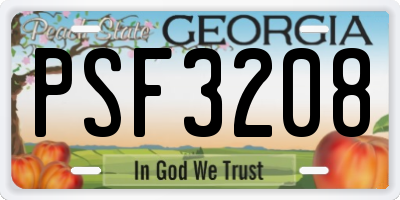 GA license plate PSF3208