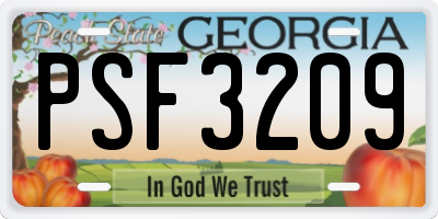 GA license plate PSF3209