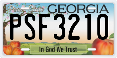 GA license plate PSF3210