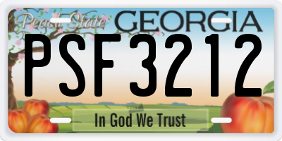 GA license plate PSF3212