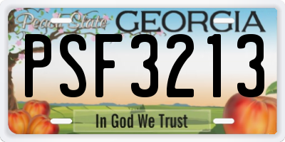 GA license plate PSF3213