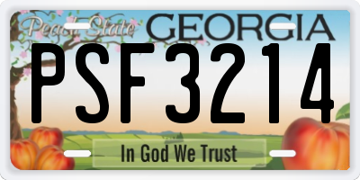 GA license plate PSF3214