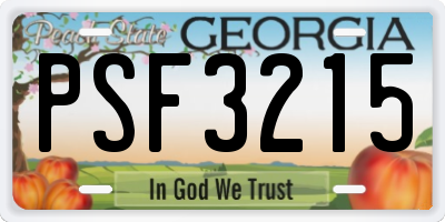 GA license plate PSF3215