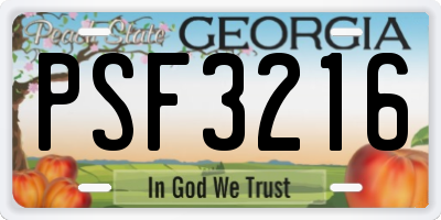 GA license plate PSF3216