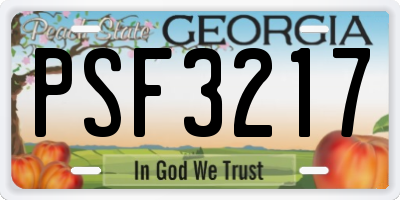 GA license plate PSF3217