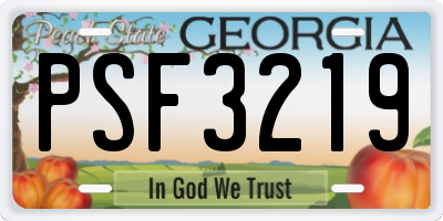 GA license plate PSF3219