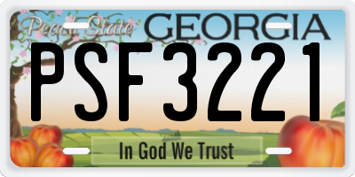 GA license plate PSF3221