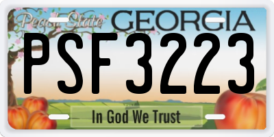 GA license plate PSF3223