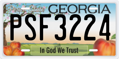 GA license plate PSF3224