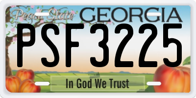 GA license plate PSF3225
