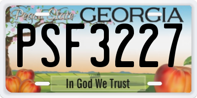 GA license plate PSF3227