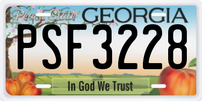 GA license plate PSF3228