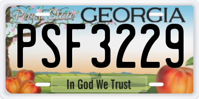 GA license plate PSF3229