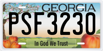 GA license plate PSF3230