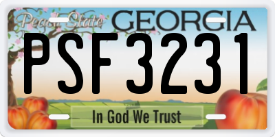 GA license plate PSF3231