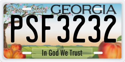 GA license plate PSF3232
