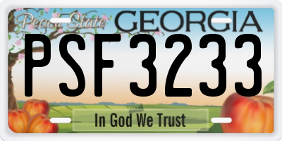 GA license plate PSF3233