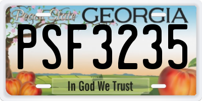 GA license plate PSF3235