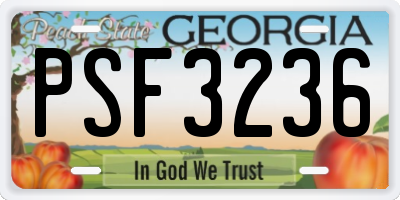GA license plate PSF3236