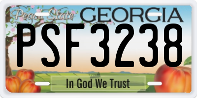 GA license plate PSF3238