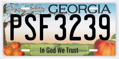 GA license plate PSF3239