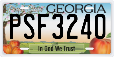 GA license plate PSF3240