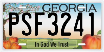 GA license plate PSF3241
