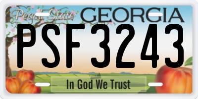 GA license plate PSF3243