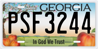 GA license plate PSF3244
