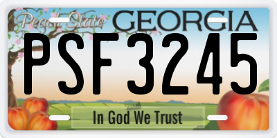 GA license plate PSF3245