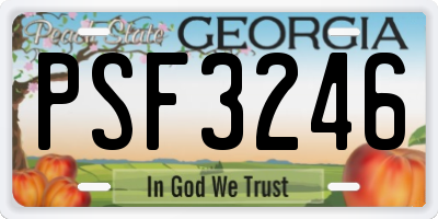 GA license plate PSF3246