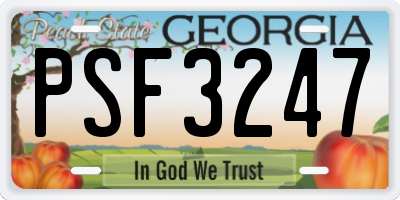 GA license plate PSF3247