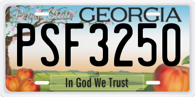 GA license plate PSF3250