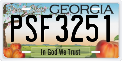GA license plate PSF3251