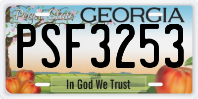 GA license plate PSF3253