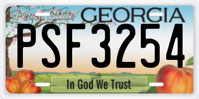 GA license plate PSF3254