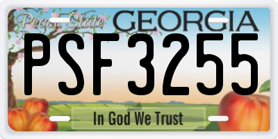 GA license plate PSF3255