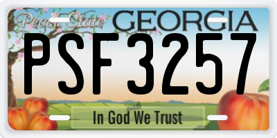 GA license plate PSF3257
