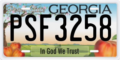 GA license plate PSF3258