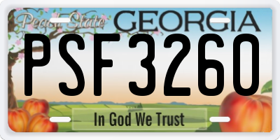 GA license plate PSF3260