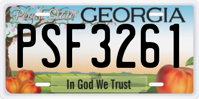 GA license plate PSF3261