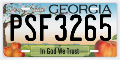 GA license plate PSF3265