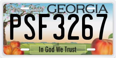 GA license plate PSF3267