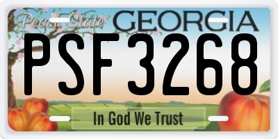 GA license plate PSF3268