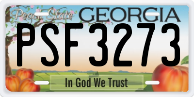 GA license plate PSF3273