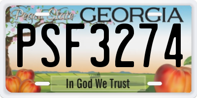 GA license plate PSF3274