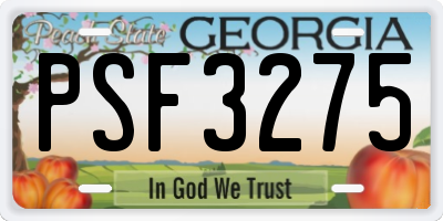 GA license plate PSF3275