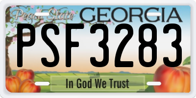 GA license plate PSF3283